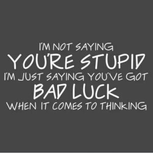 Im-not-saying-youre-stupid
