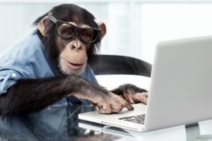 Just give me* some time and I'll get you some copy! (*For the record, this is not actually a monkey; it's a chimpanzee. It's the best we could do, under the circumstances.)